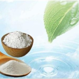 L-Carnitin Base Powder